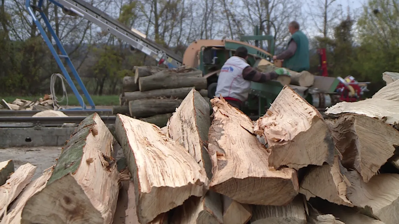 Radar - Milyen a jó tűzifa?