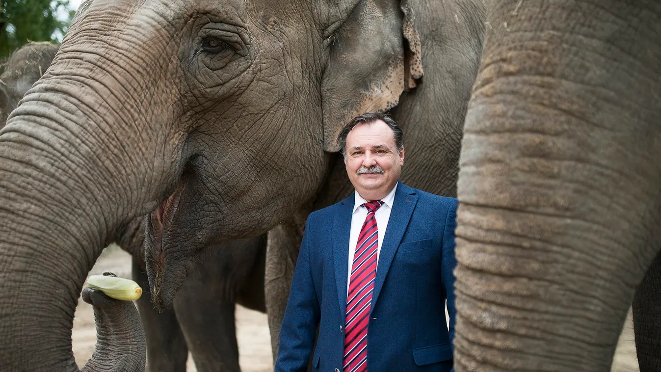 Épül az India-ház a Nyíregyházi Állatparkban