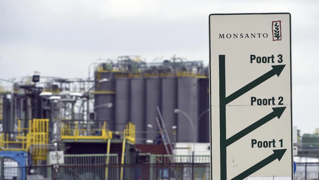 Nehézfiúk a bábolnai földügyben