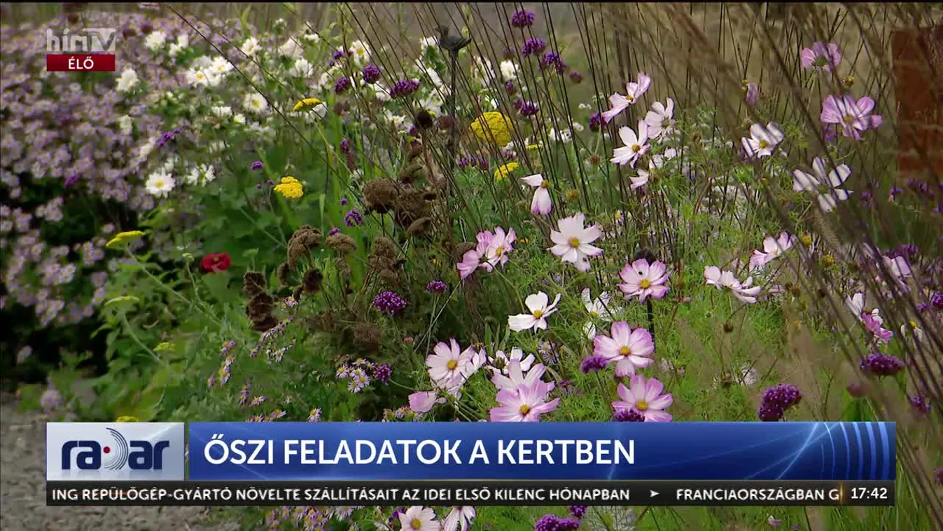 A kert forradalma: Elfelejthetjük a gereblyét? A szakértő szerint évtizedekig rosszul csináltuk