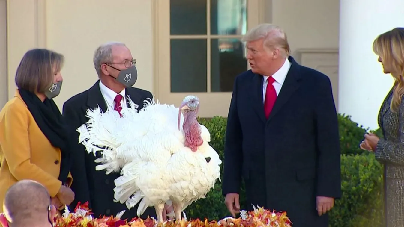 Donald Trump kegyelmet adott két pulykának