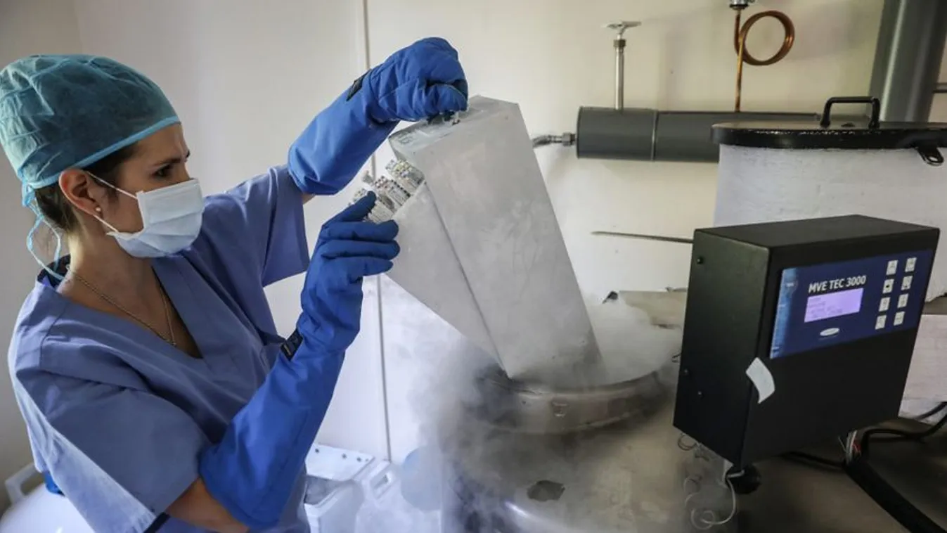 Takács Péter: Nyolc meddőségi szakambulancia jön létre a vármegyei kórházakban 2024-ben + videó