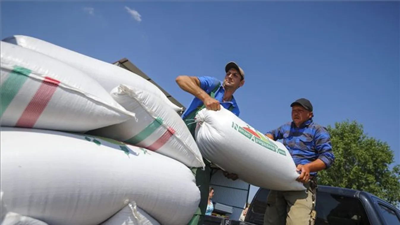 Az államtitkár szerint nem kell aggódni