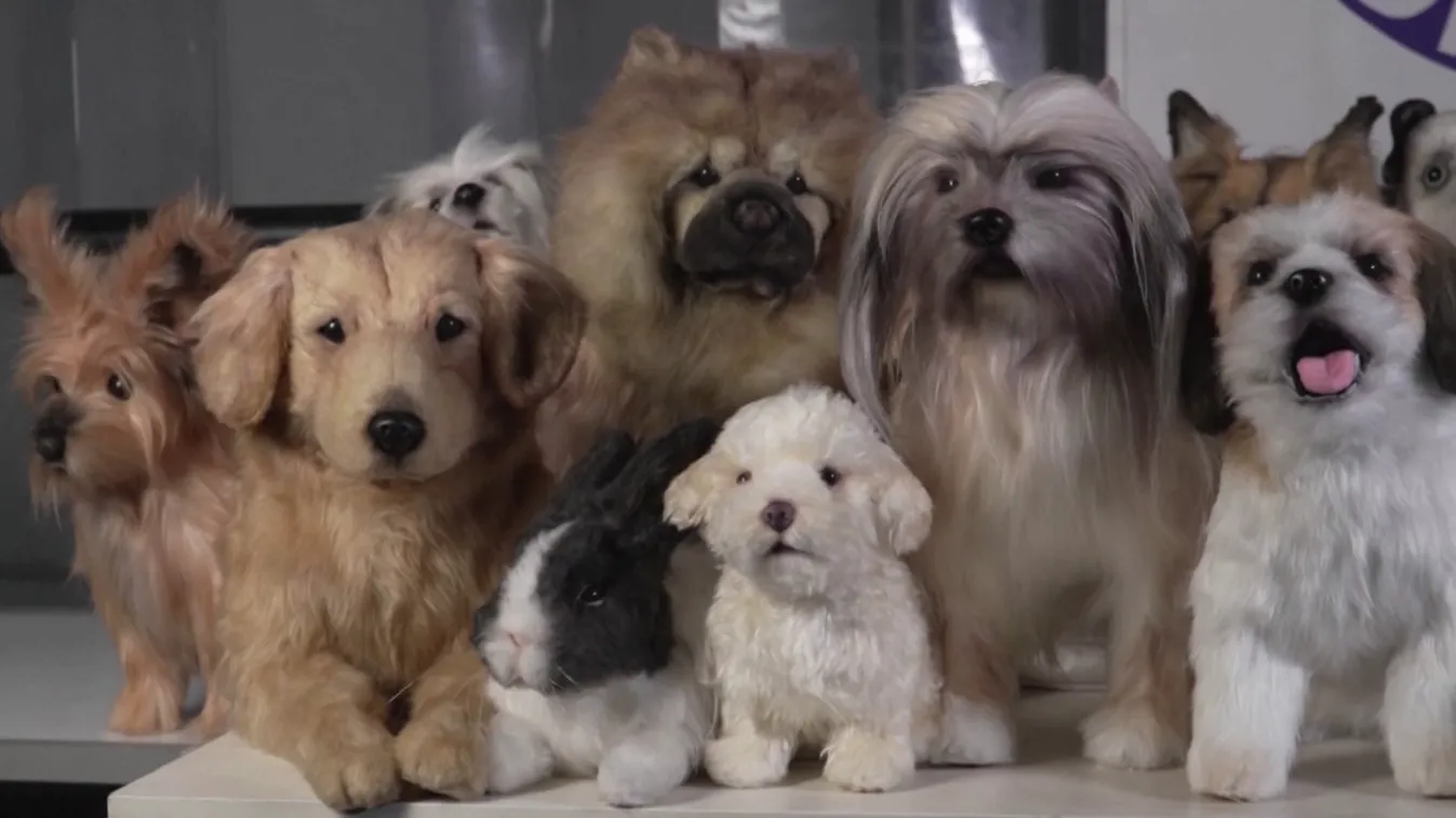 Radar - Plüssökből készült állatklónok