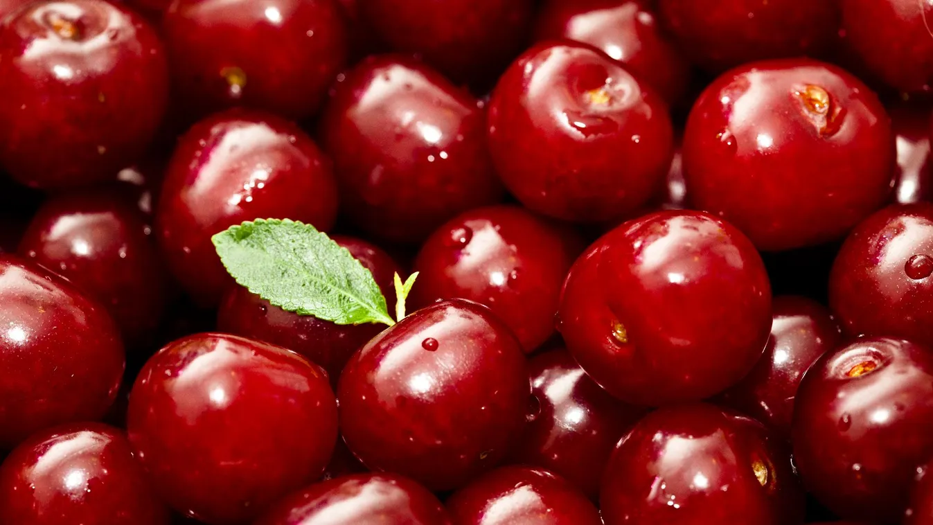 Kiemelkedő minőséggel robbant be a meggyszezon