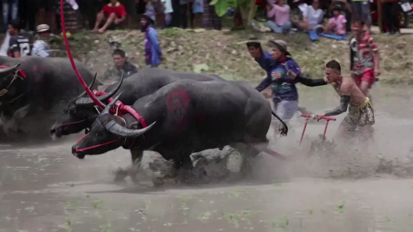 Radar - Színes hírek a nagyvilágból