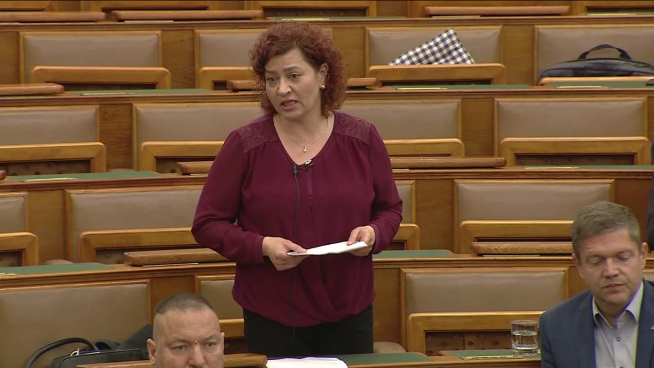 Kásler Miklóst sértegette Vadai Ágnes az Országgyűlés előtt