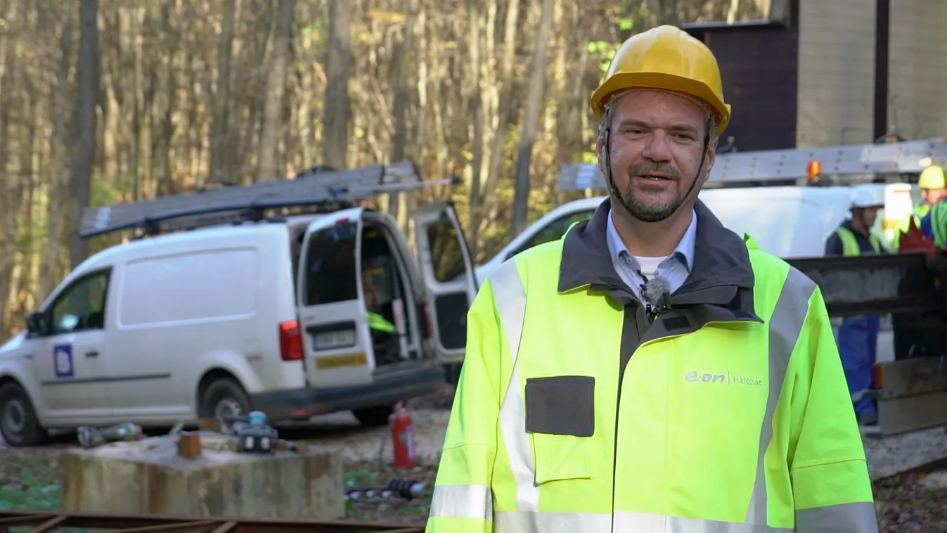 Több száz hektárnyi védett erdő szabadulhat meg a villanyoszlopoktól és a vezetékektől + videó