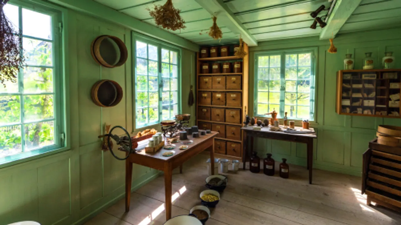 Egy svájci városban múzeumi látogatást is felírhatnak receptre mentális és krónikus betegségekben szenvedőknek