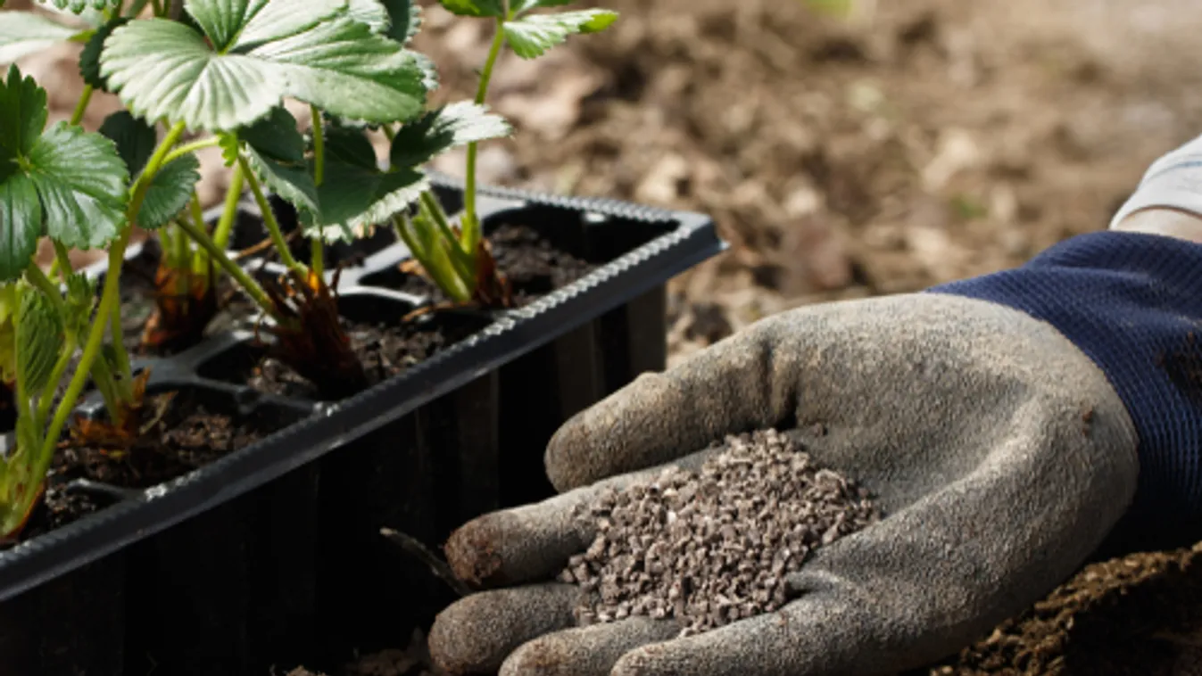 Nitrogénművek: Nem lesz hiány műtrágyából