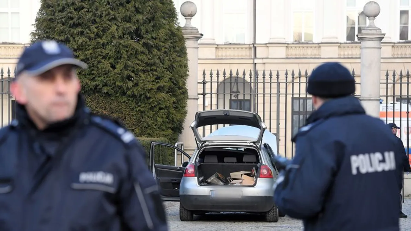 Az államfői palotának csapódott, valószínűleg bekábítószerezve