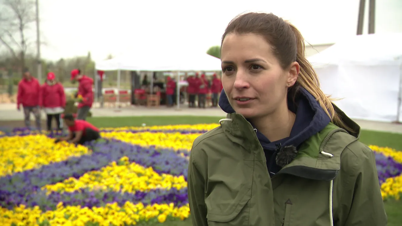 Radar - Virágültetés ukrán színekben