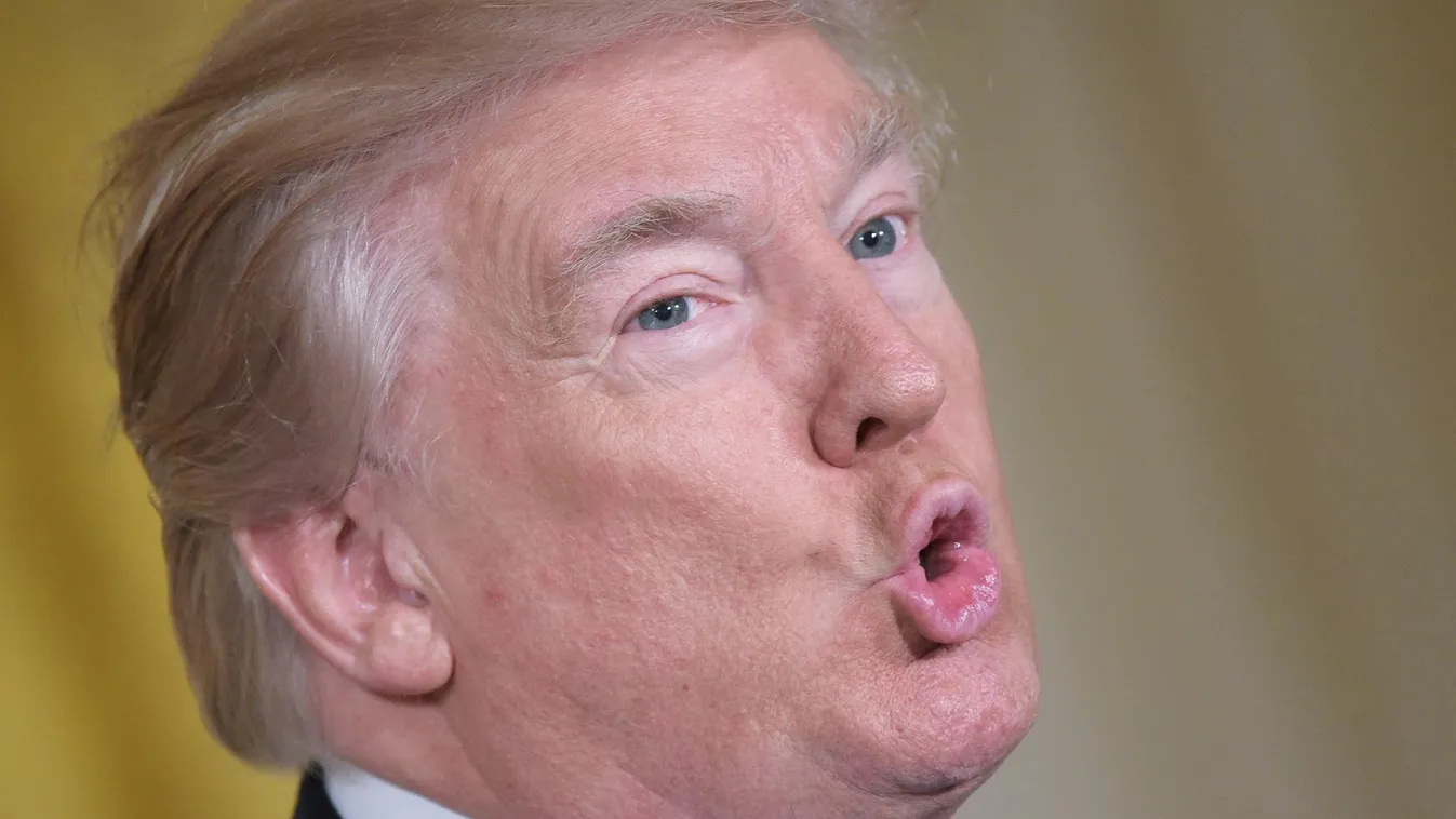 A következetes Donald Trump