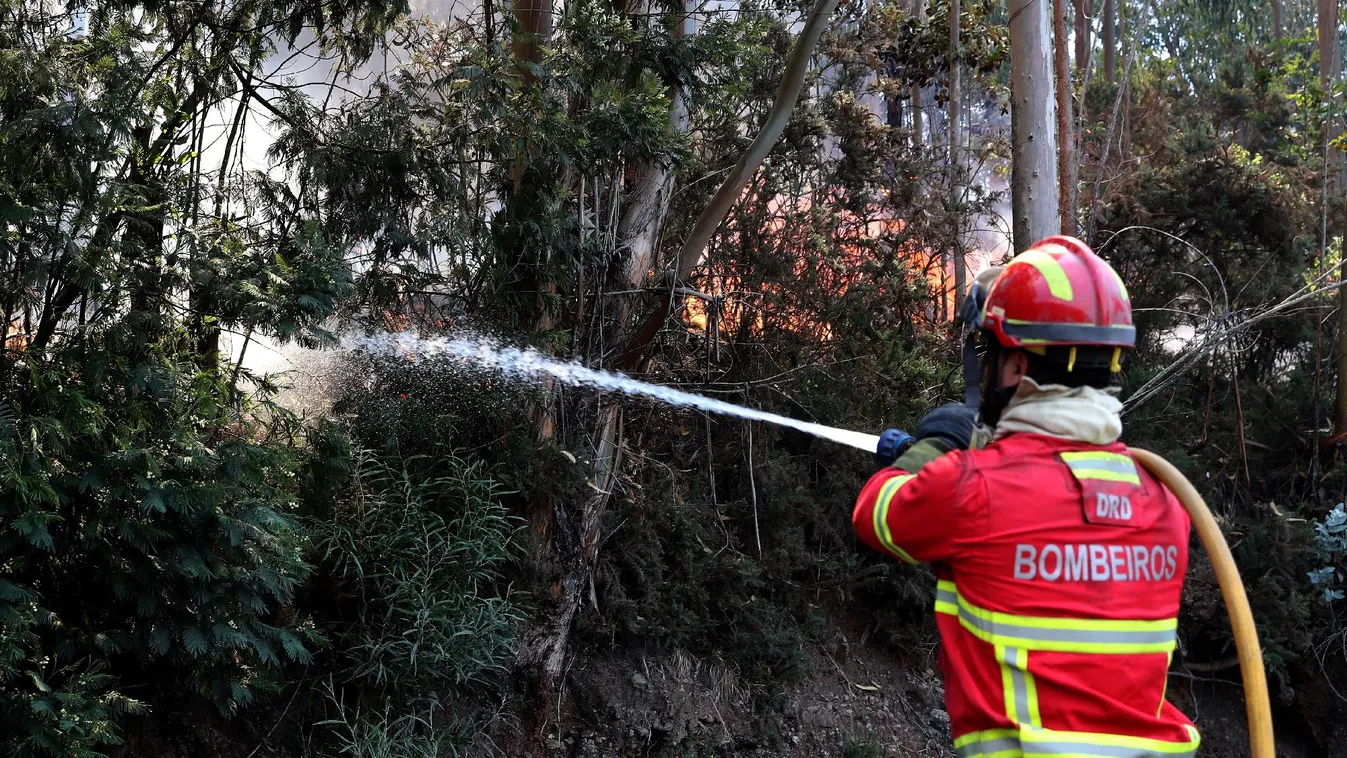 Spanyol segítséggel sikerült megfékezni a Madeirán pusztító erdőtüzet
