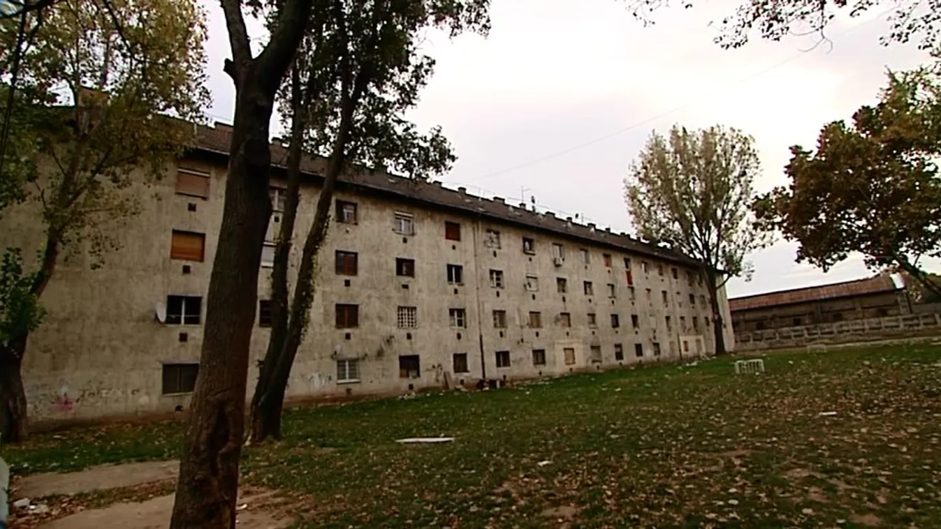 „Ez, ami itt van, nem életkörülmény, ez hányinger”