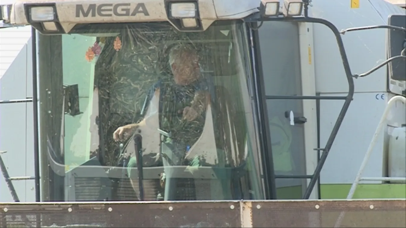 Őszi munkák és vigasságok – Soroló