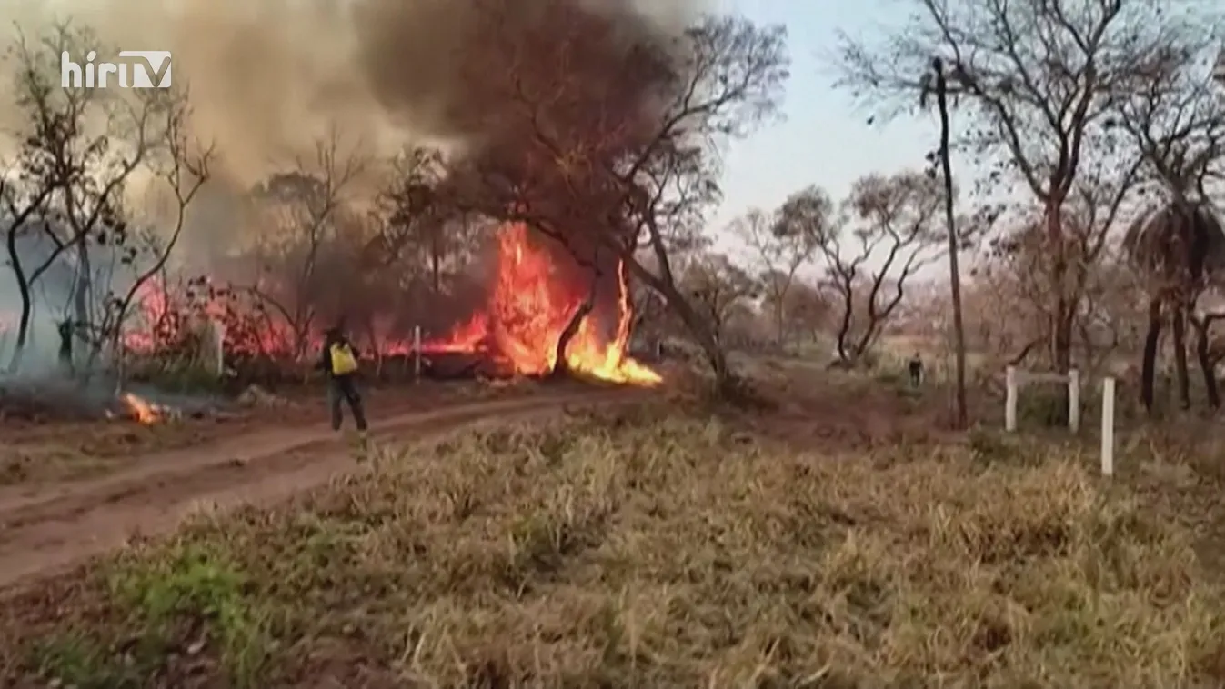 Bozót- és erdőtüzek Bolíviában