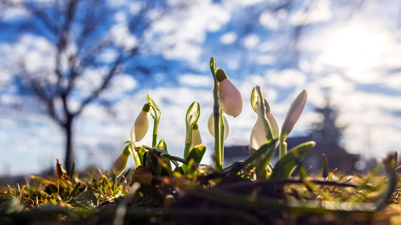 Meteorológia: megdőlt az országos és fővárosi melegrekord is vasárnap