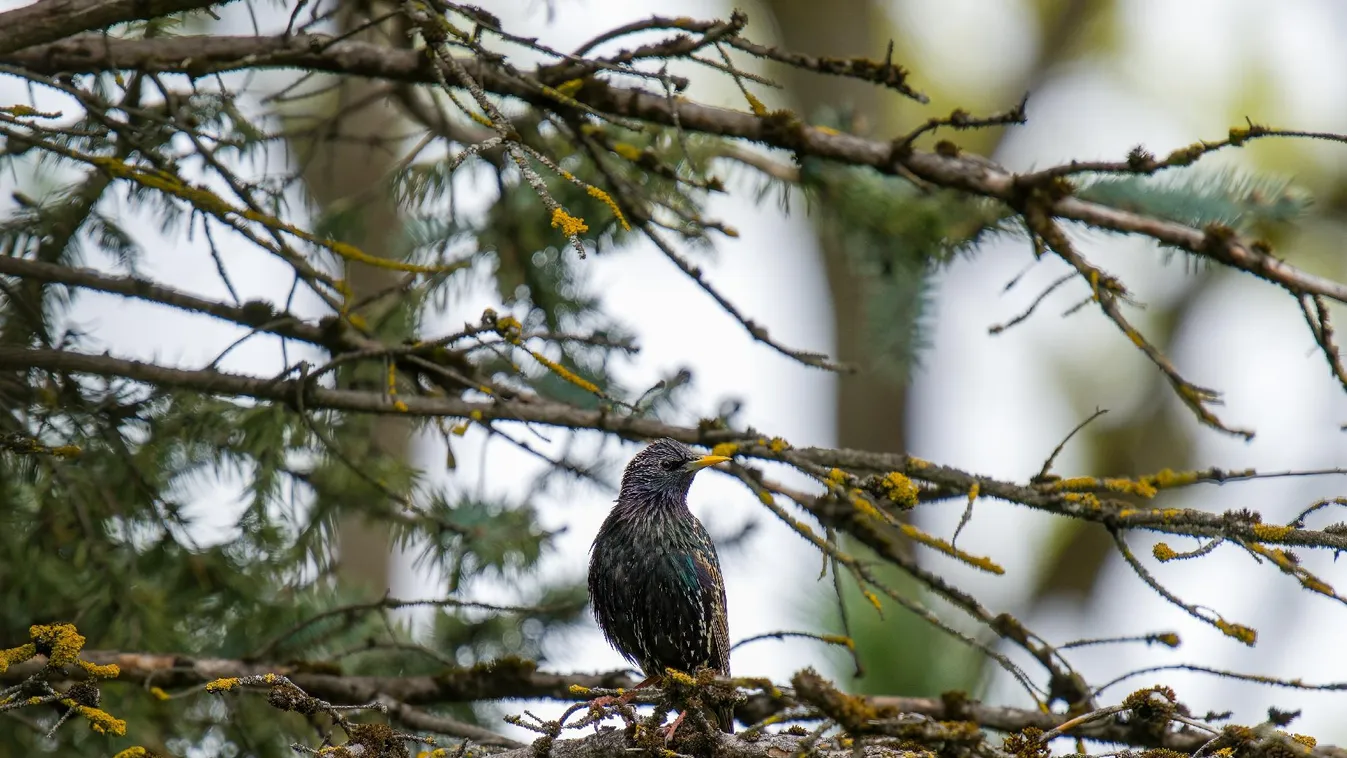 Úton egy újabb hidegfront