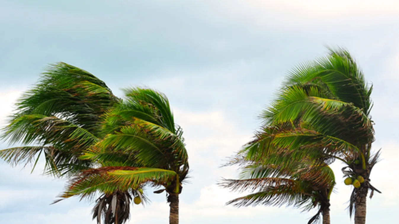 Kaliforniában 800 ezer fogyasztónál állítják le az áramszolgáltatást a bozóttüzek elkerülése érdekében