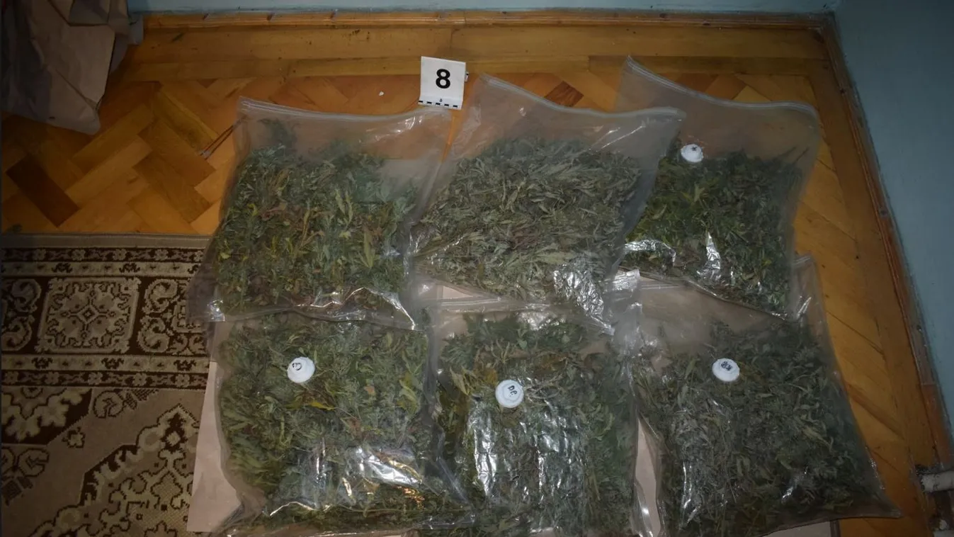 Drogtanyára csaptak le Pécsen