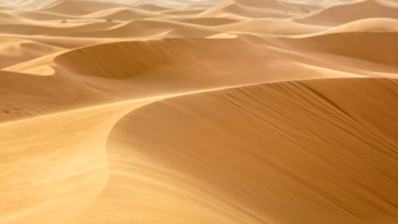 Dakar-rali: Balesetben hunyt el egy portugál motoros a hetedik szakaszon