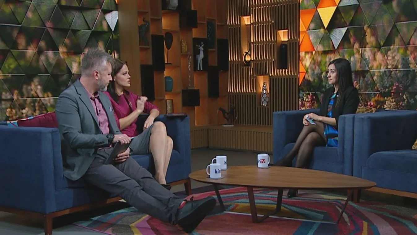 Mozaik - Meghosszabbították a népszámlálás online kitöltési lehetőségét