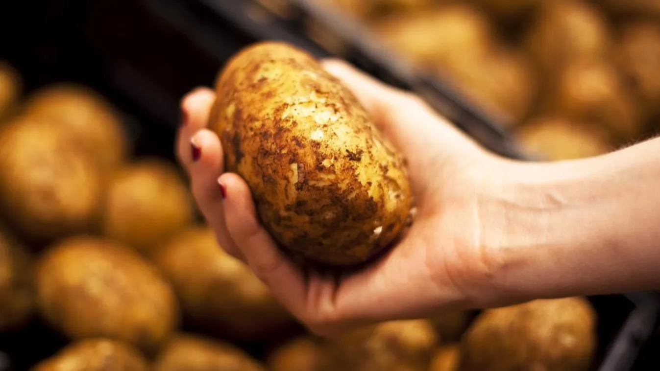 A magyar agrártermelés egyik szégyene – Soroló