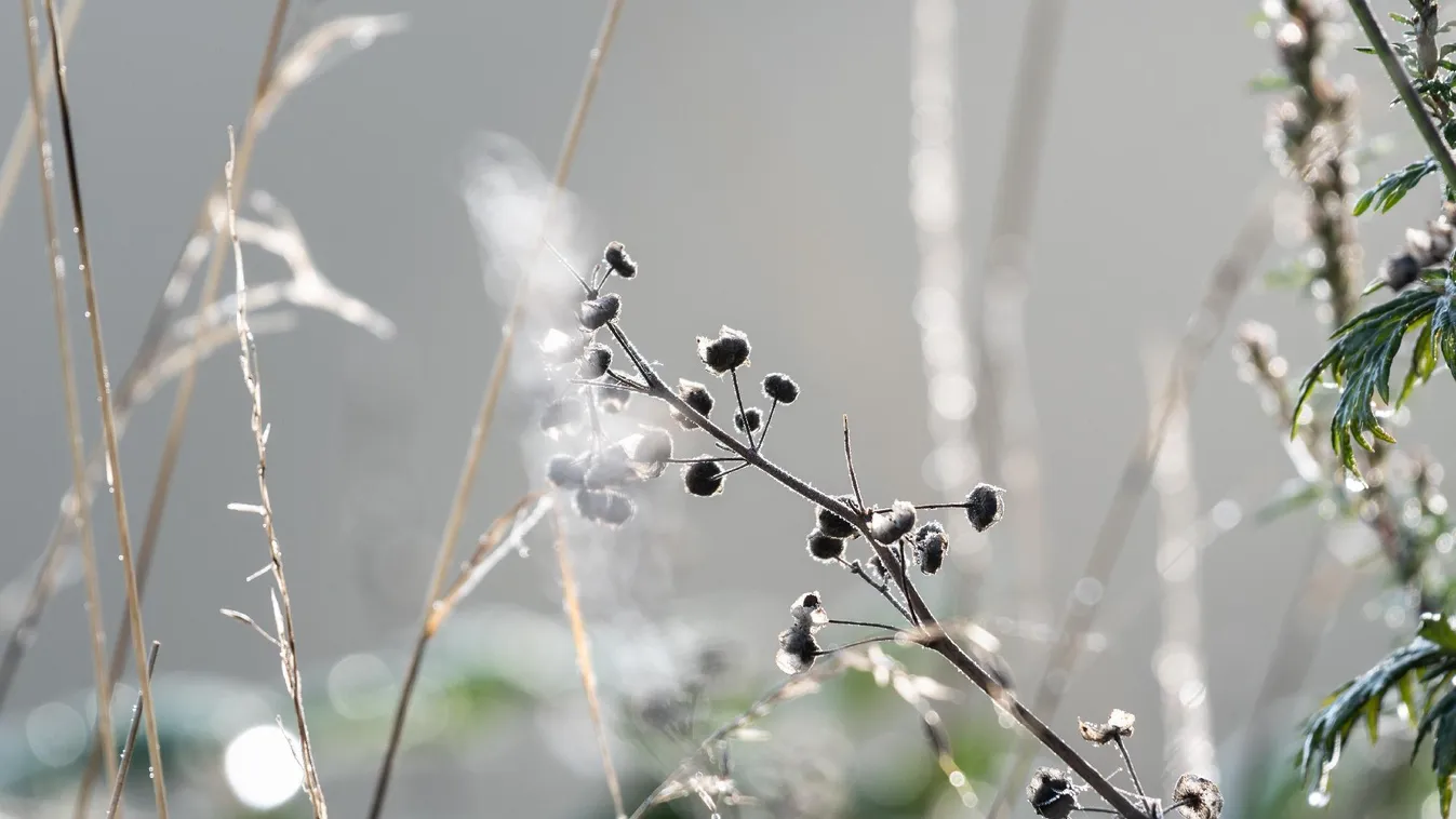 Buenos Aires jeges fogságban – 1991 óta nem volt ilyen hideg