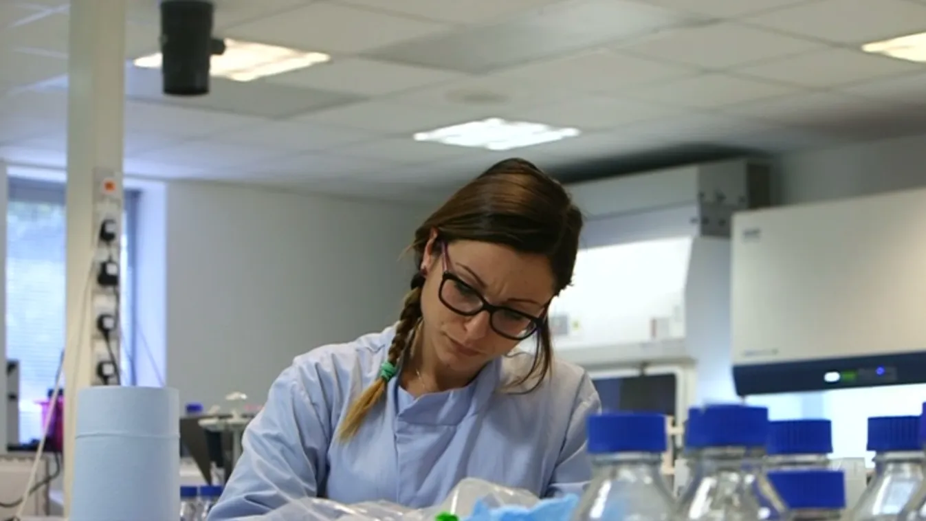 Megnyugodhatnak az Egyesült Királyságban tanuló külföldi diákok