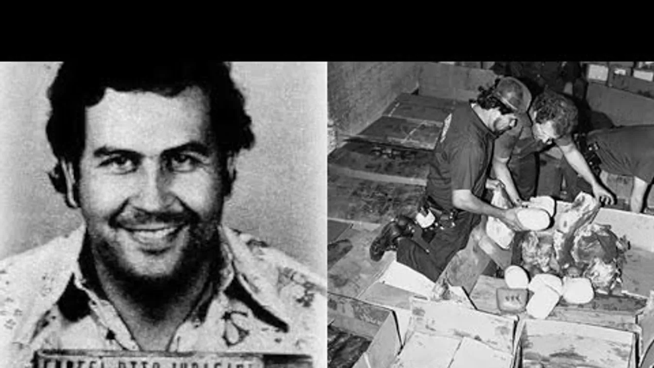 Drogbáró – BBC Travel Show