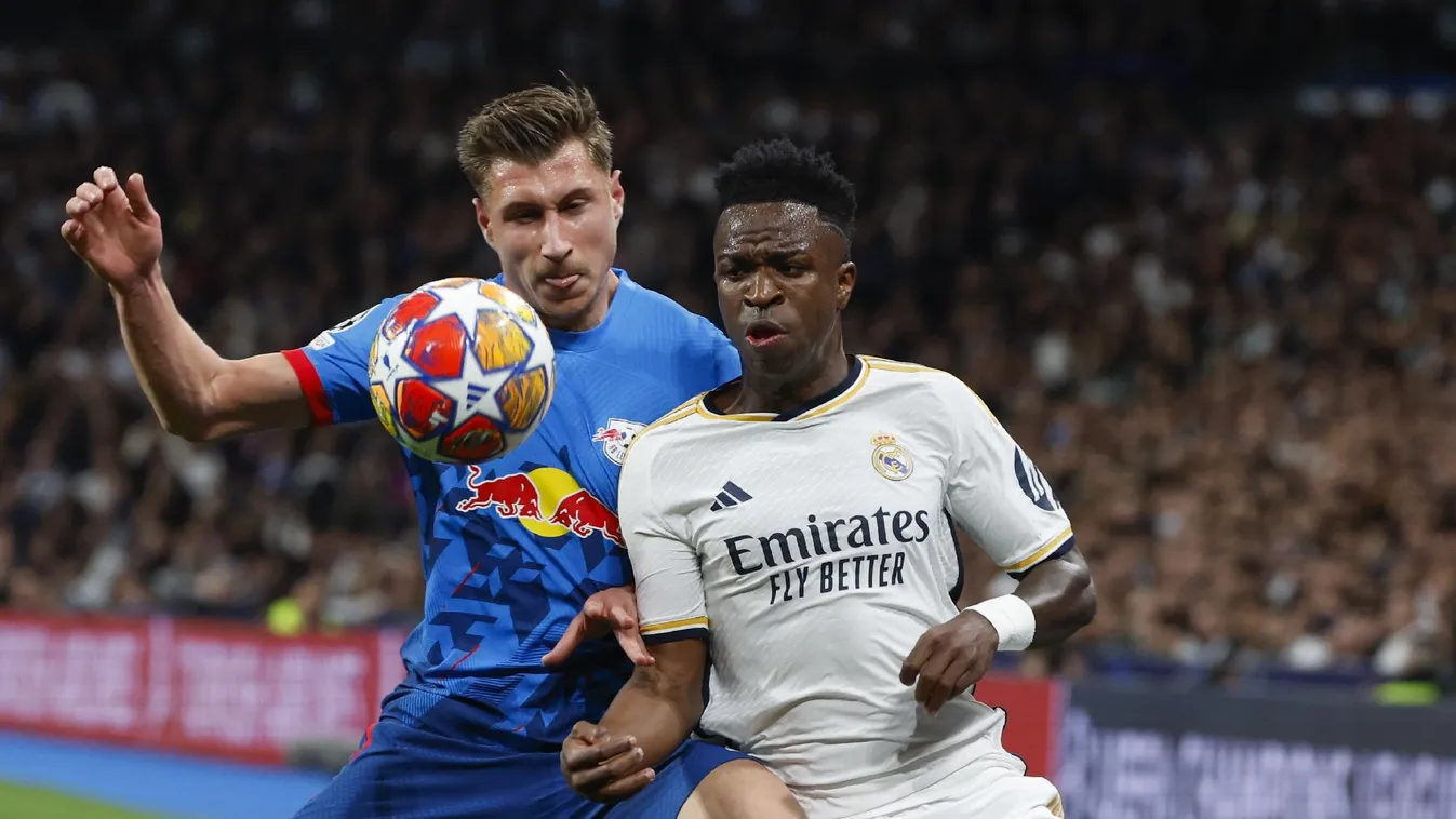 Willi Orbán: A munkánknak nem lett meg a gyümölcse