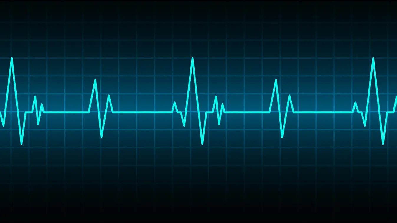 Élet-halál között lebeg M. Richárd: Élettársa meglátogathatta a börtönben