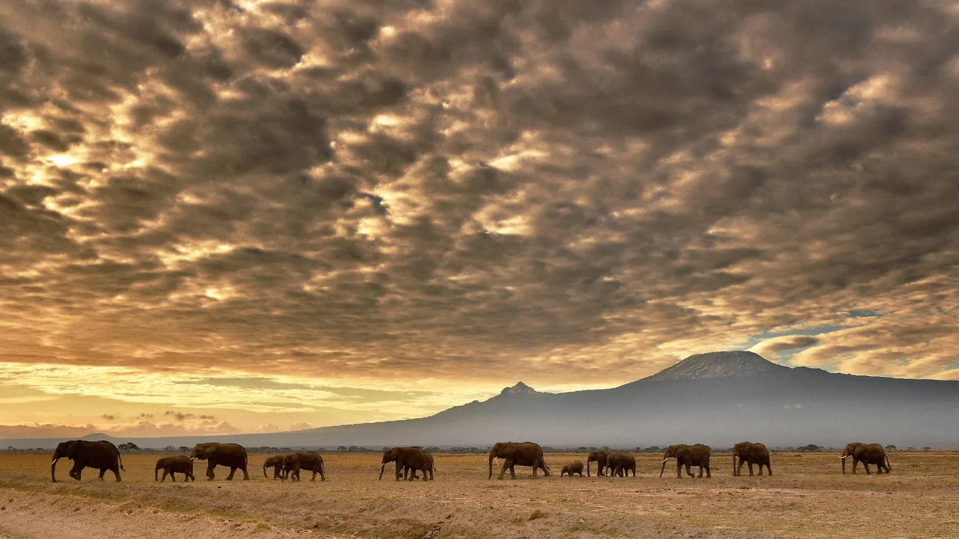 Kommunikátorok – Felfedező