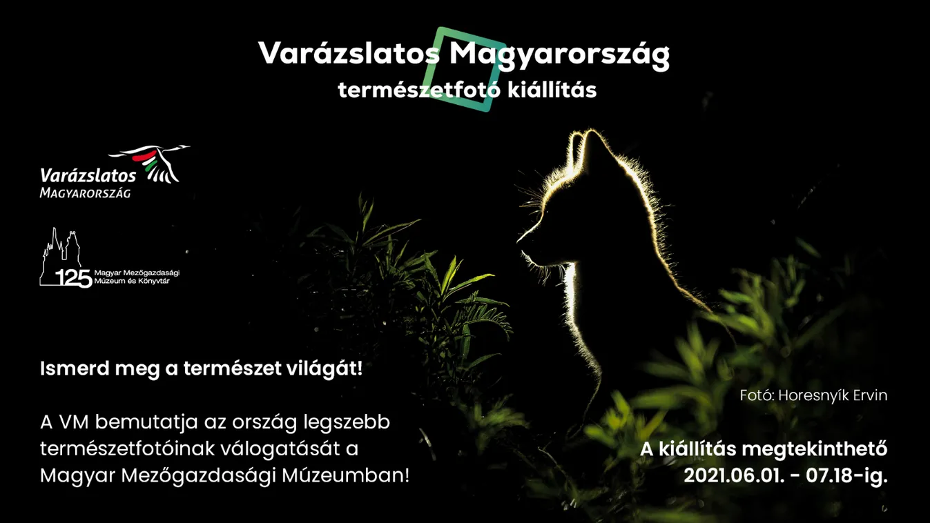 Az ország legszebb természetfotói egy kiállításon