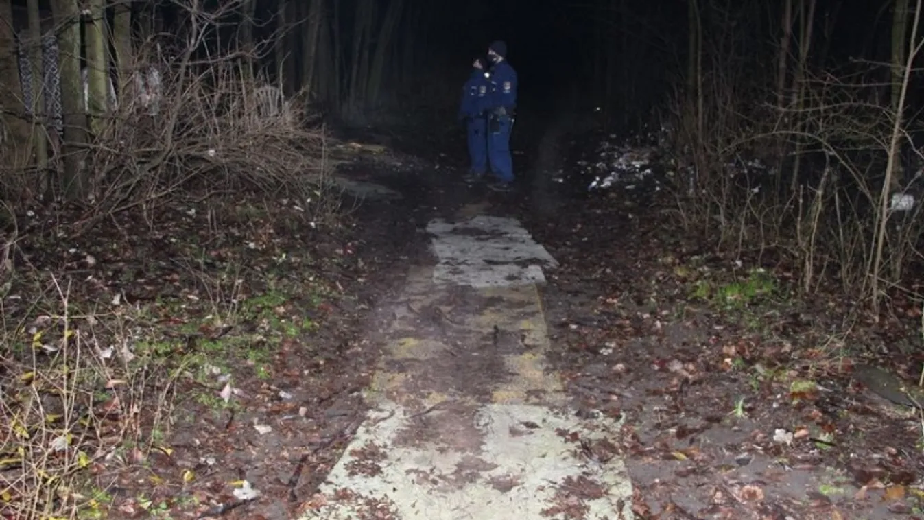 Lezárt akta: megölte két ismerősét