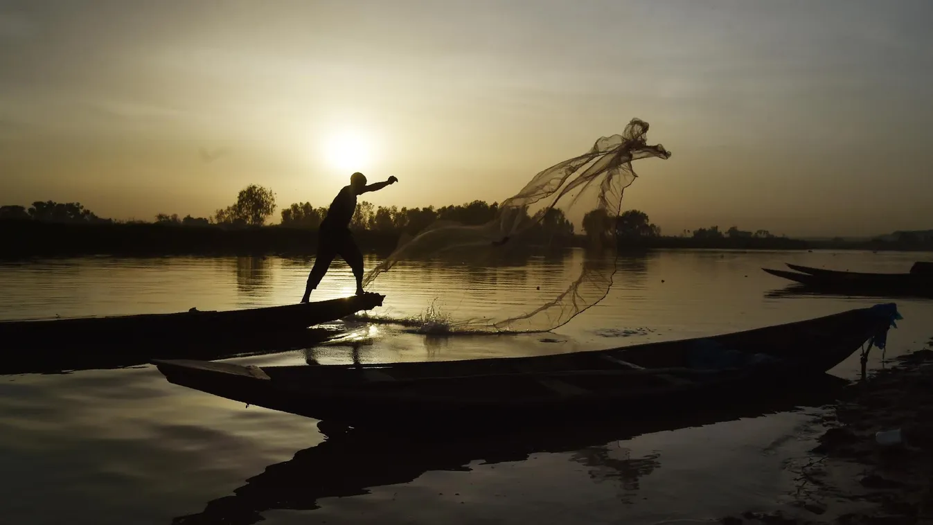 Kitűnő minőségű a haltermés