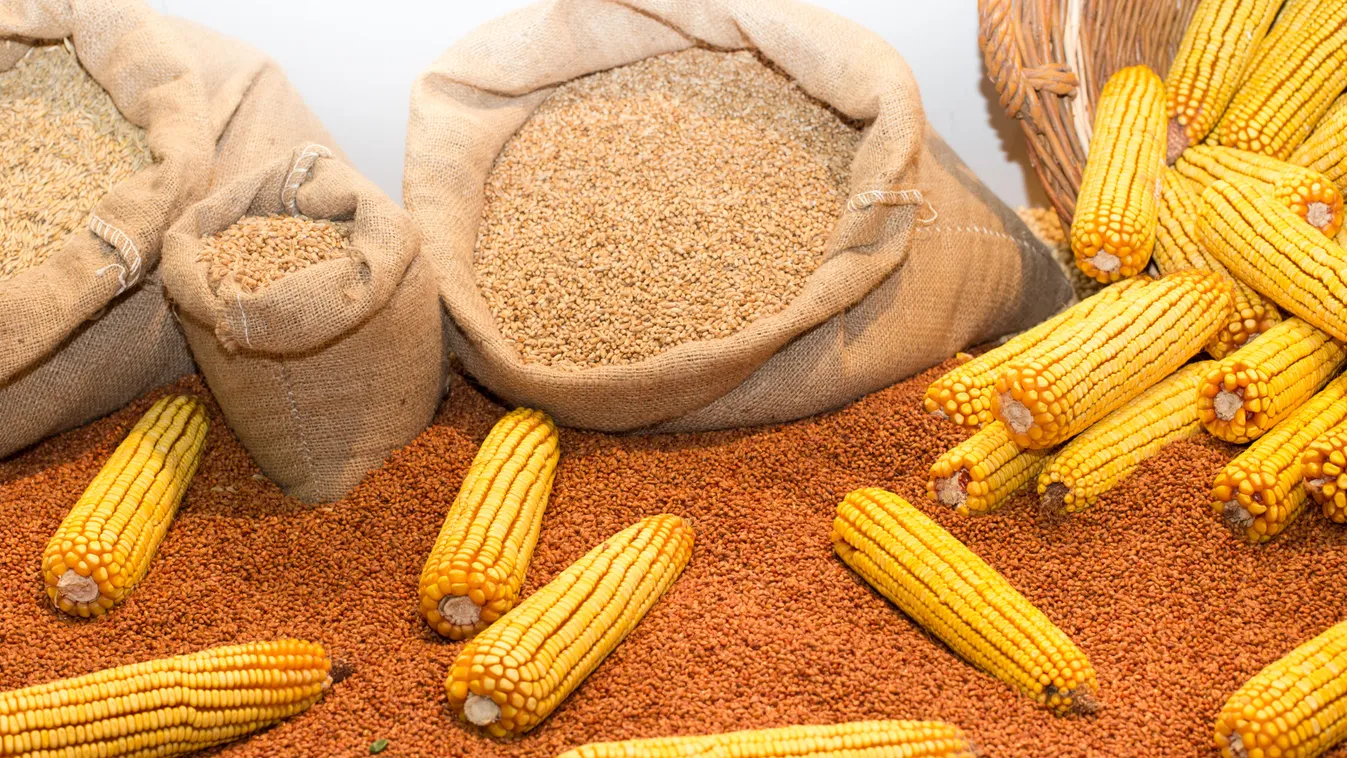 Az év második felében indulhat be igazán a magyar gazdasági növekedés