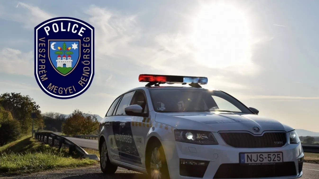 12 illegális migráns és egy embercsempész Gyulafirátótnál