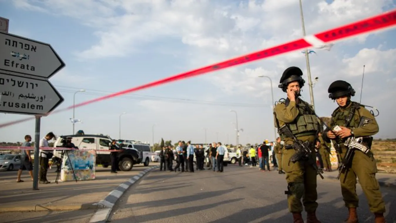 Halál a kereszteződésben – BBC Our World