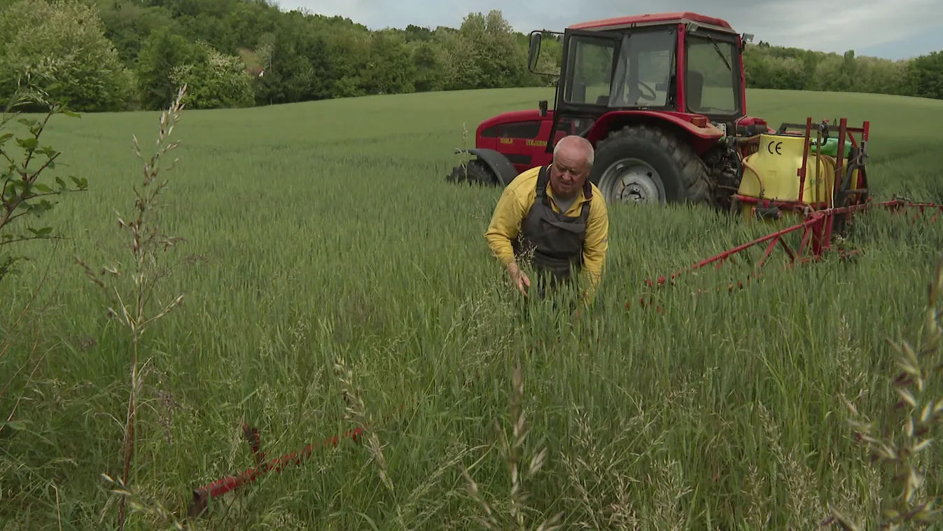Ha Ukrajnát gyorsított eljárással felvennék az Európai Unióba, az a magyar mezőgazdaság végét is jelenthetné