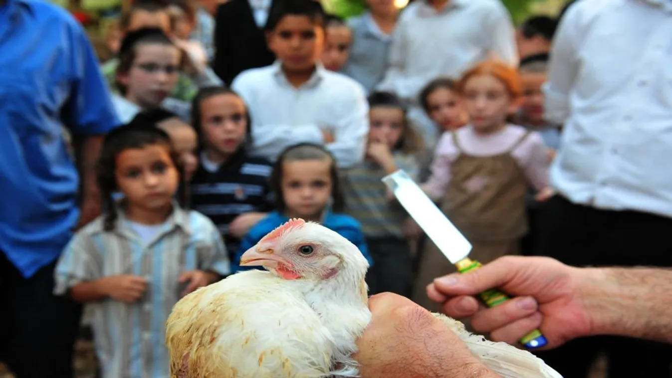 A Miniszterelnökség közleménye