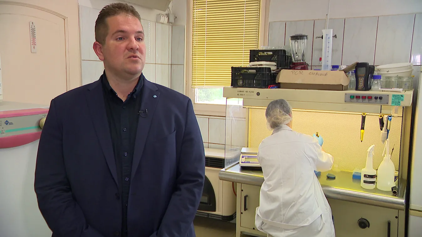 Radar - Magyar innováció: tejtermékek tojásfehérjéből