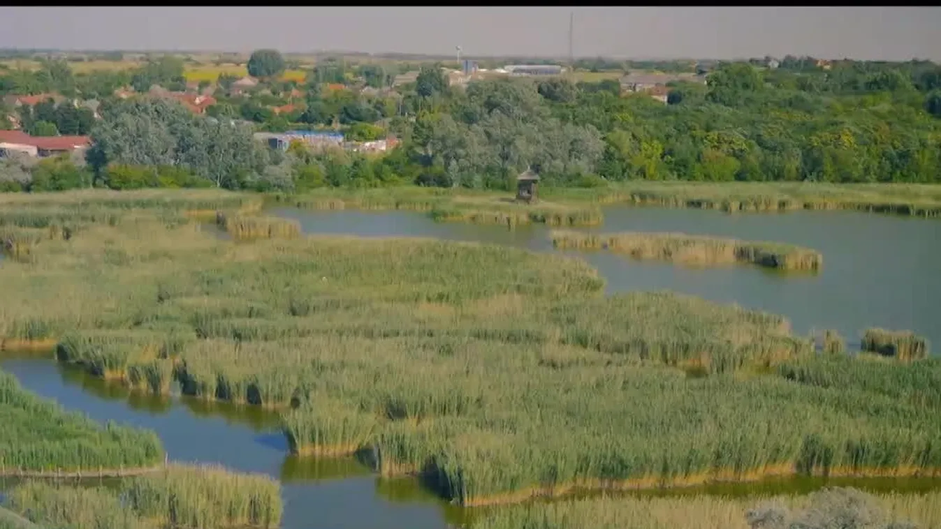Mozaik - Kincses sziget egy nagyváros mellett