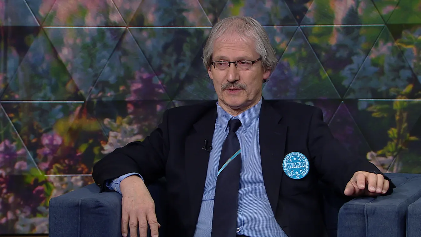 Mozaik - Kickbox világkupa lesz Budapesten a hétvégén