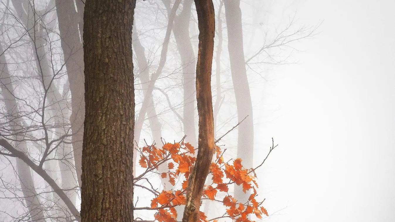 10 Celsius-fokkal esik vissza a hőmérséklet vasárnapra