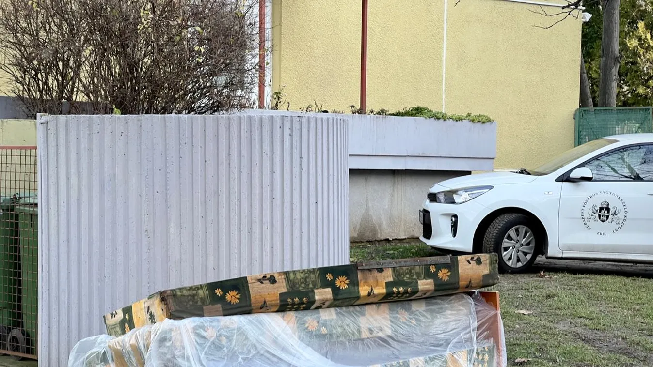 Meghökkentő: Ágyi poloskák az újpesti nyugdíjasházban + FOTÓK