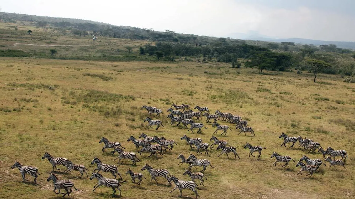 A láthatatlan kontinens – Hírvilág extra