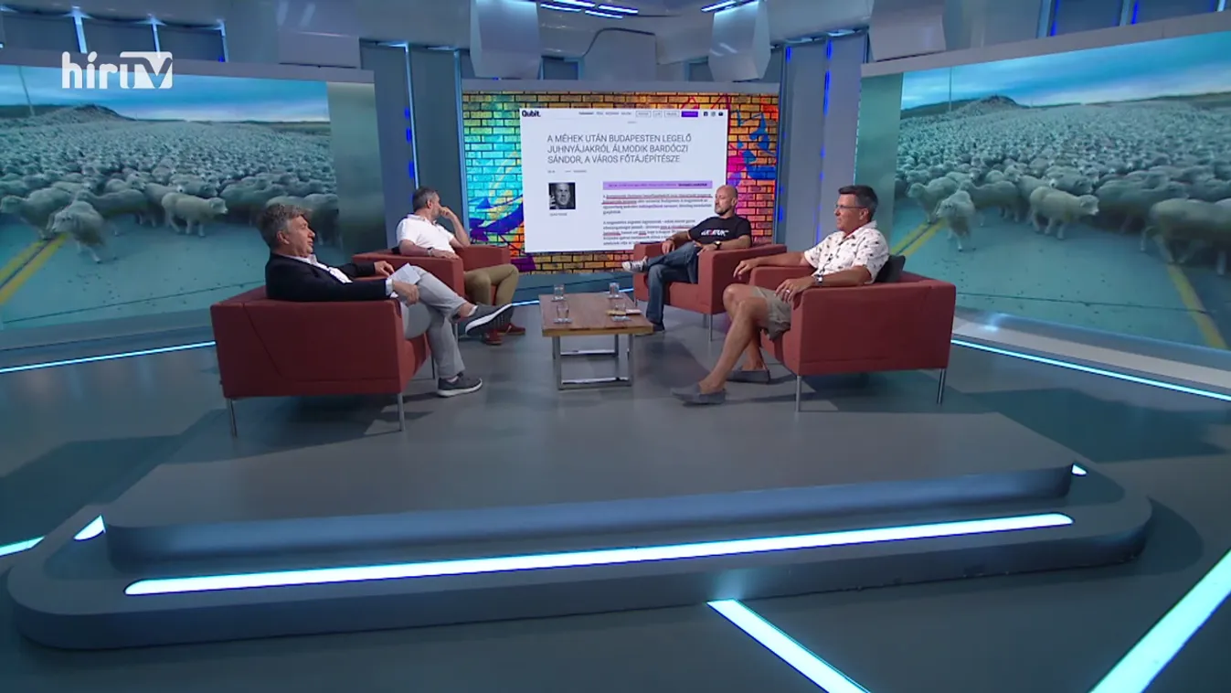 Keménymag: A bunkósbot szerep Homonnay Gergelyé