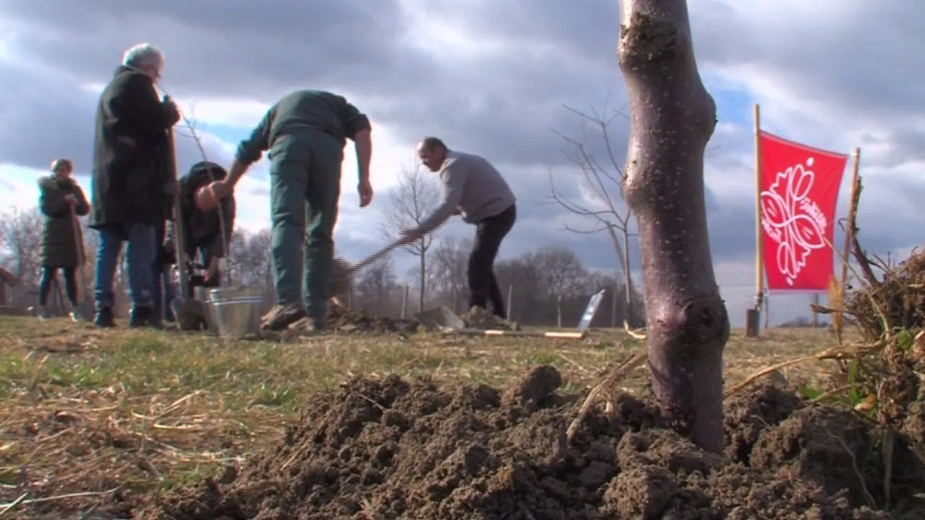 Az ország első karbonnegatív fesztiválja